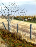 Malpeque PEI, Tree