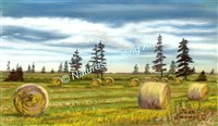 Middleton PEI, Bales