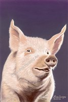 10. Penelope Pig, PEI Canada.jpg $250.00 framed 11