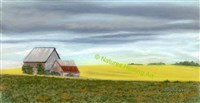 16. Summerfield, PEI Canada.jpg $250.00 framed 10