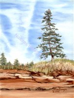 Chelton Beach, PEI Canada 'Tree'